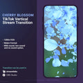 Cherry blossom TikTok stream transition.