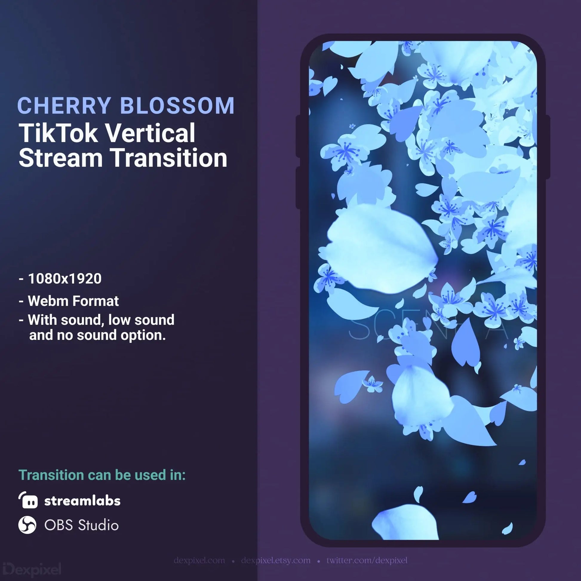 Cherry blossom TikTok stream transition.