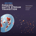 Koi fish parasol stream transition.