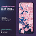 Cherry blossom stream transition for TikTok.
