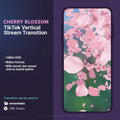 Cherry blossom stream transition for TikTok.