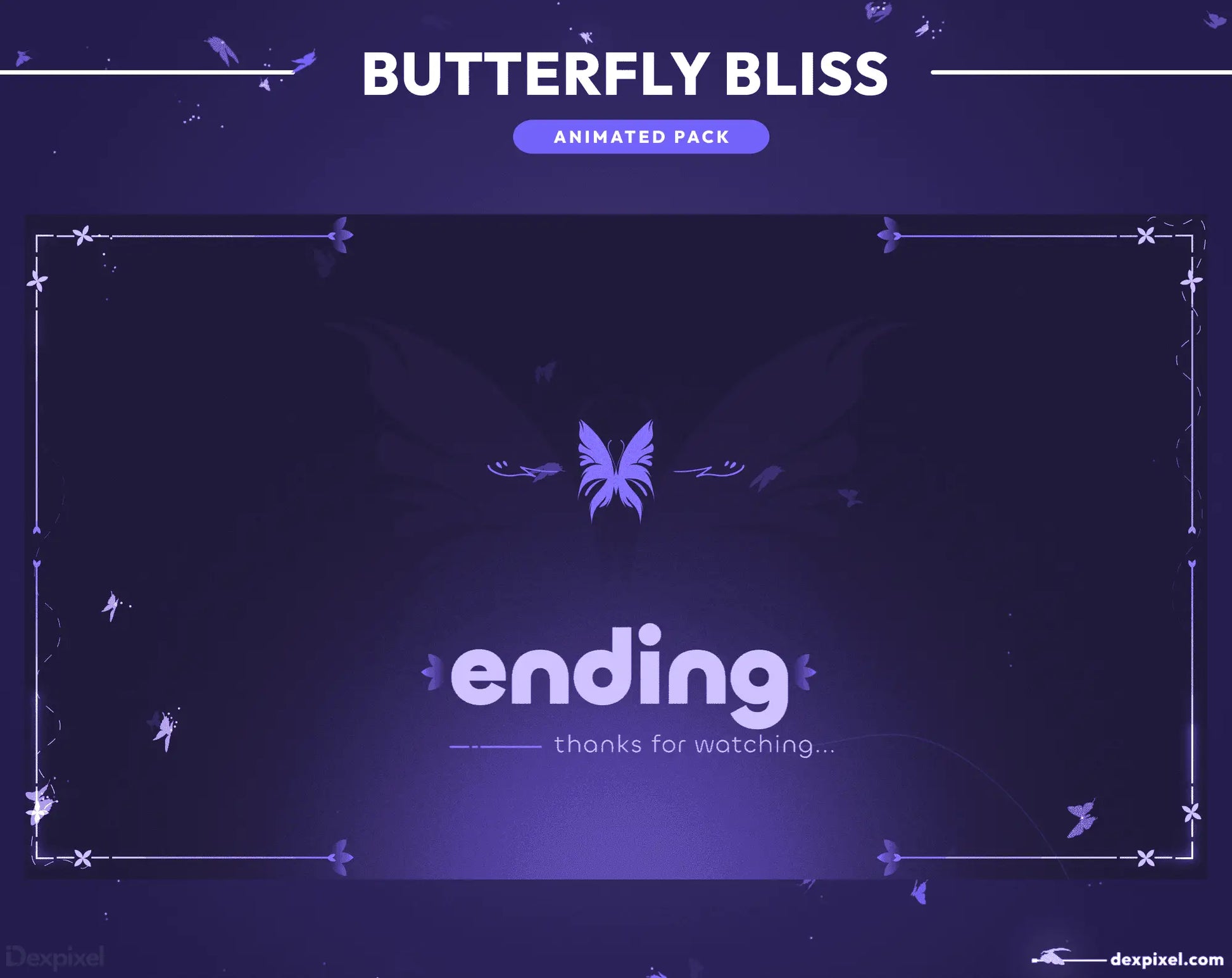 purple butterfly stream design