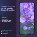 TikTok vertical stream transition with cherry blossom theme.