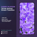 Cherry blossom stream transition for TikTok.