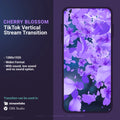Cherry blossom TikTok stream transition.