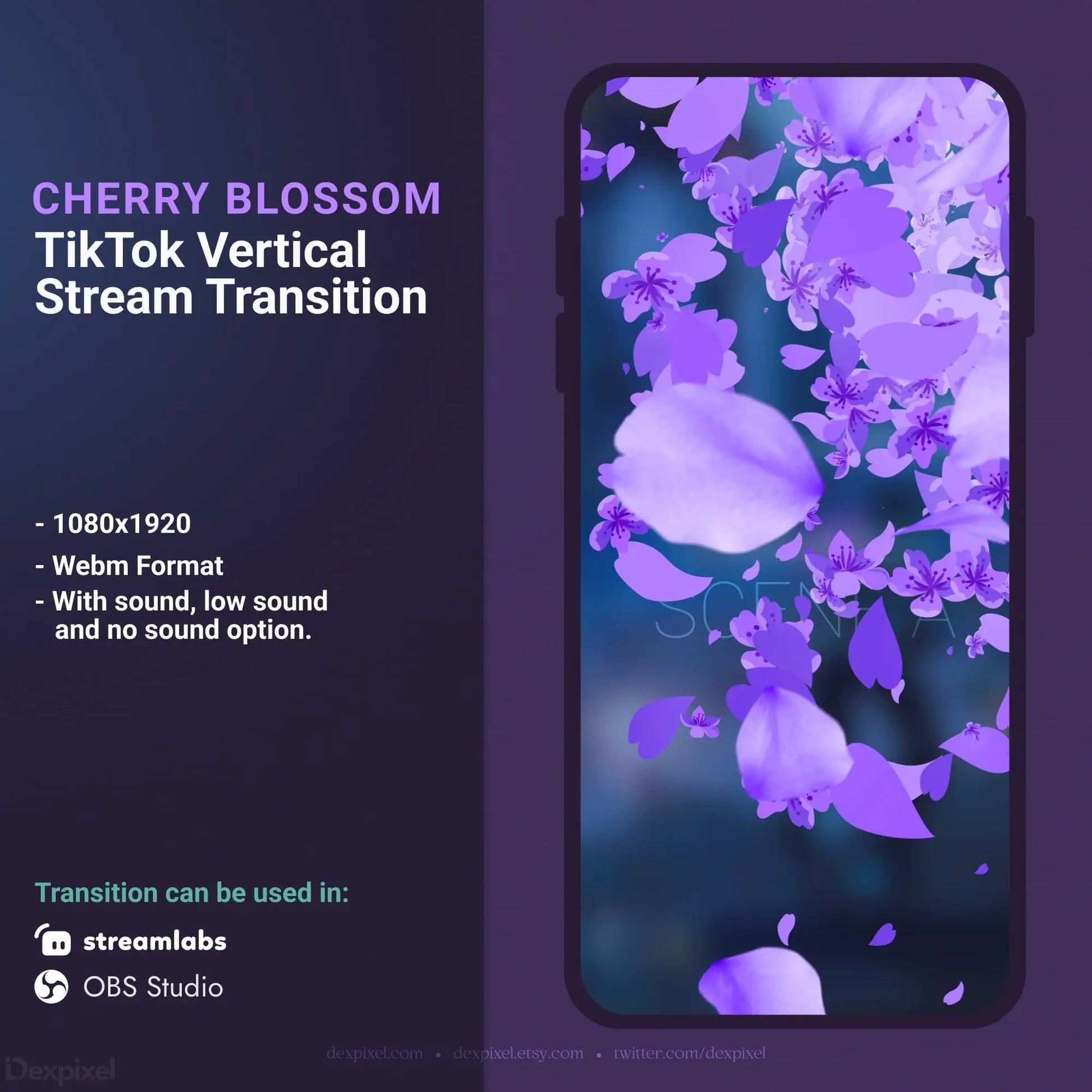 Cherry blossom stream transition.