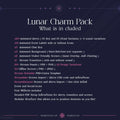 Product information card for a ’Lunar Charm Pack’ listing included digital assets and features.