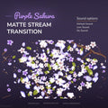 Purple sakura matte stream transition with sound options.