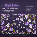 Purple sakura matte stream transition.