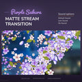 Purple sakura matte stream transition.