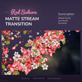 Red sakura matte stream transition.