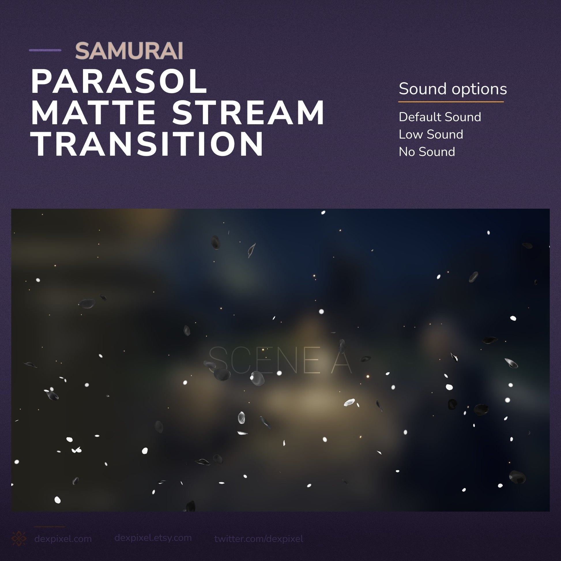Digital transition effect with sound options.