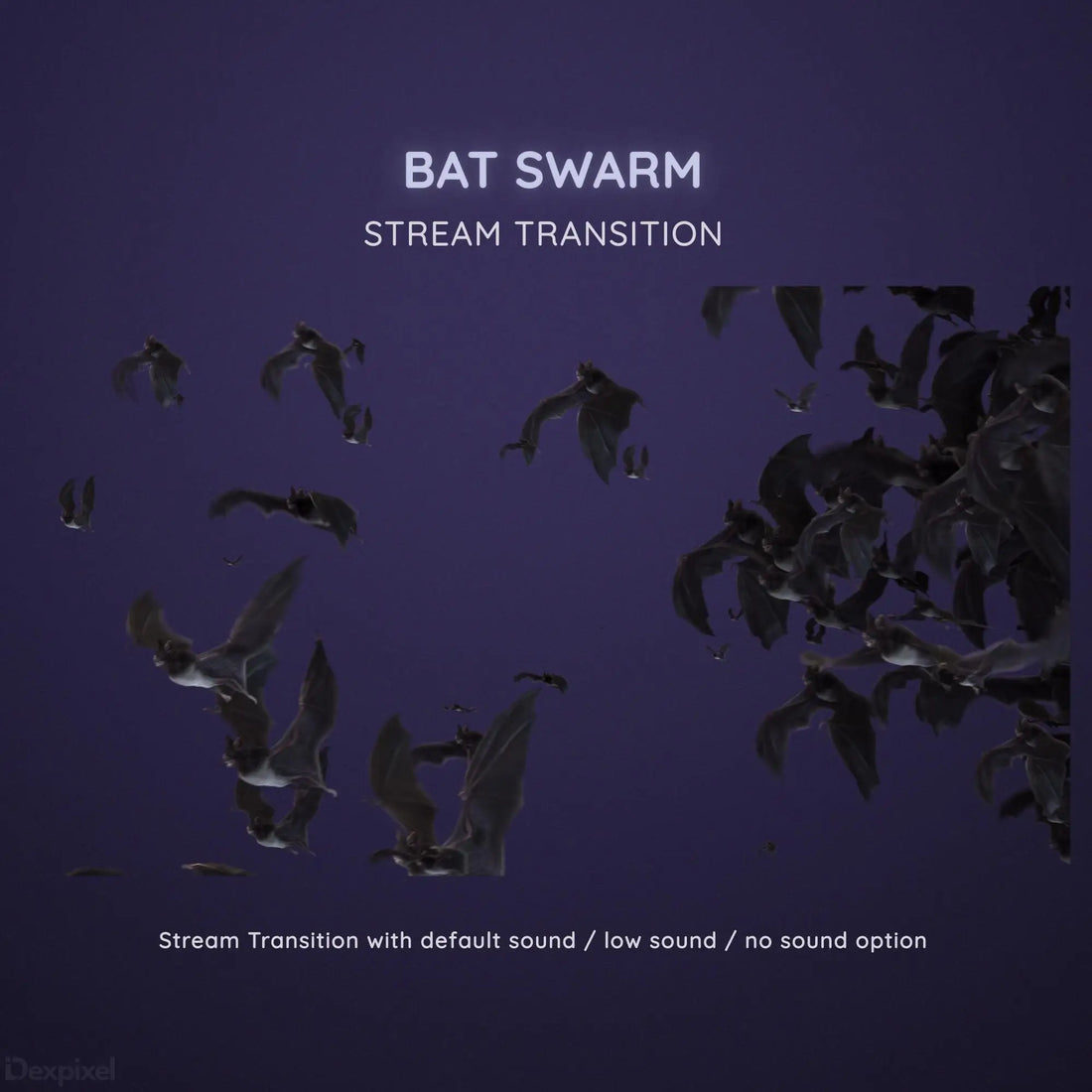 Silhouettes of bats flying in a swarm formation.