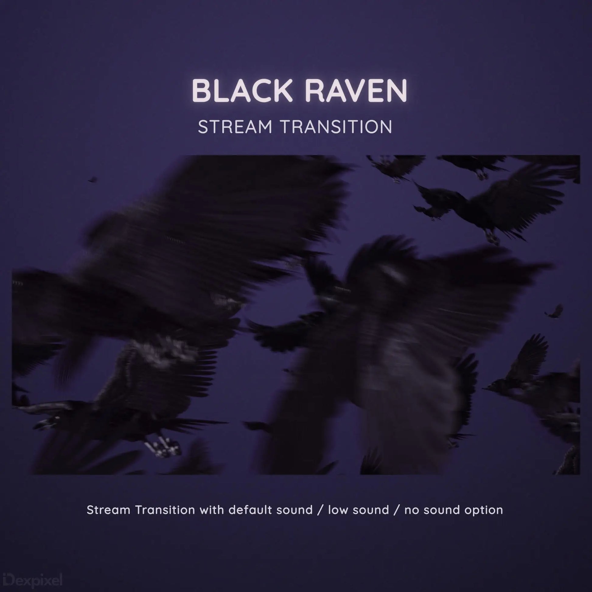 Dark silhouettes of ravens against a purple-tinted backdrop with text overlay for stream transition graphics.