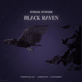 Black raven with spread wings in flight.