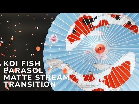 Koi Fish Parasol Matte Stream Transition | OBS VTuber