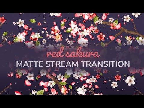 Red Sakura Cherry Blossom Matte Transition | OBS VTuber