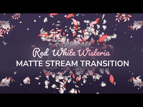 Red Wisteria Matte Transition | OBS Stinger VTuber