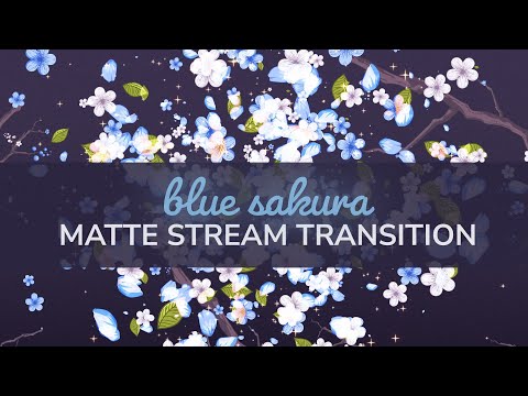 Blue Sakura Cherry Blossom Matte Transition | OBS VTuber