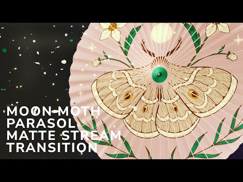 Moon Moth Parasol Matte Stream Transition | OBS VTuber