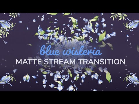 Blue Wisteria Tree Matte Transition | OBS Stinger