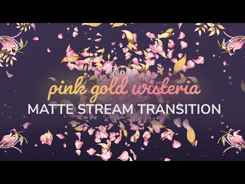 Pink Gold Wisteria Matte Transition | OBS Stinger VTuber