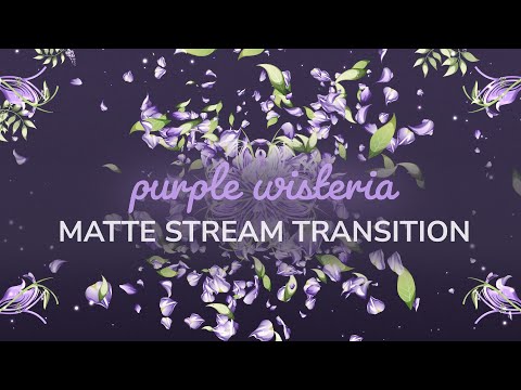 Purple Wisteria Matte Transition | OBS Stinger VTuber