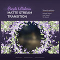 Purple Wisteria Matte Stream Transition with sound options