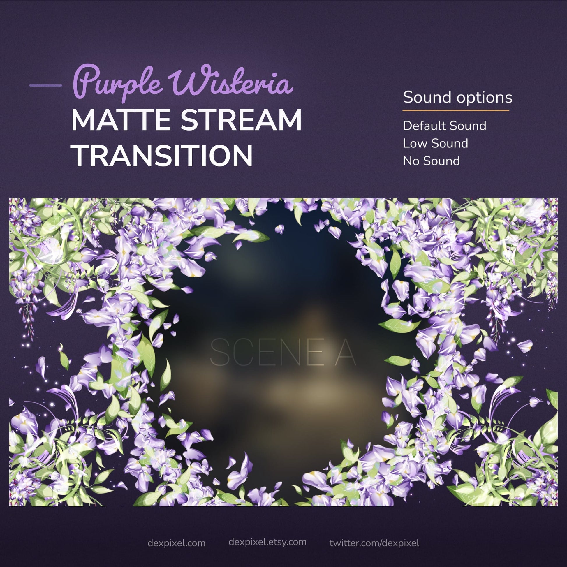 Purple Wisteria Matte Stream Transition with sound options