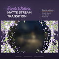 A stream transition with purple wisteria flowers for streaming.