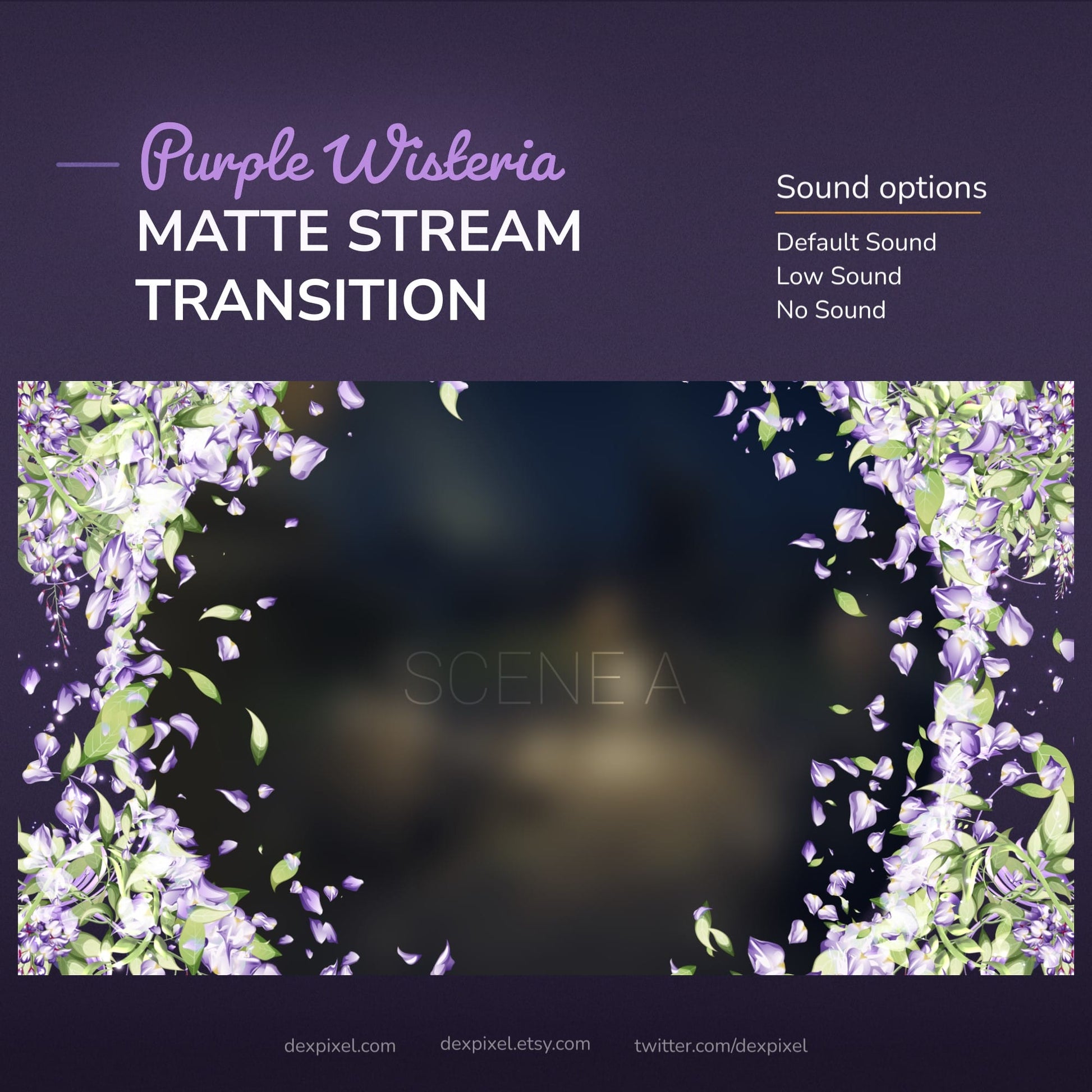A stream transition with purple wisteria flowers for streaming.
