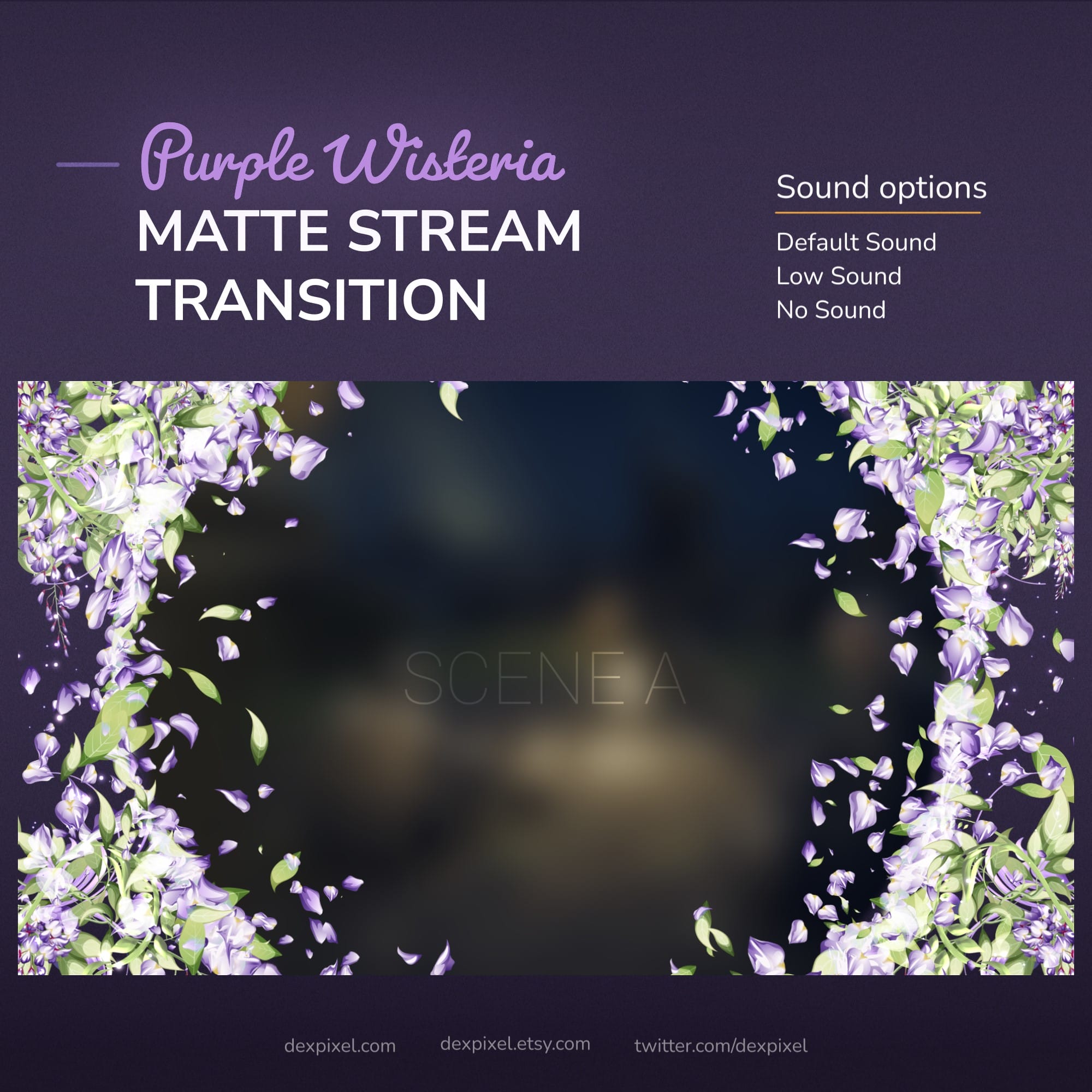 A stream transition with purple wisteria flowers for streaming.