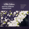 White sakura matte stream transition.