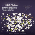 White sakura matte stream transition with sound options.