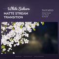White sakura stream transition.