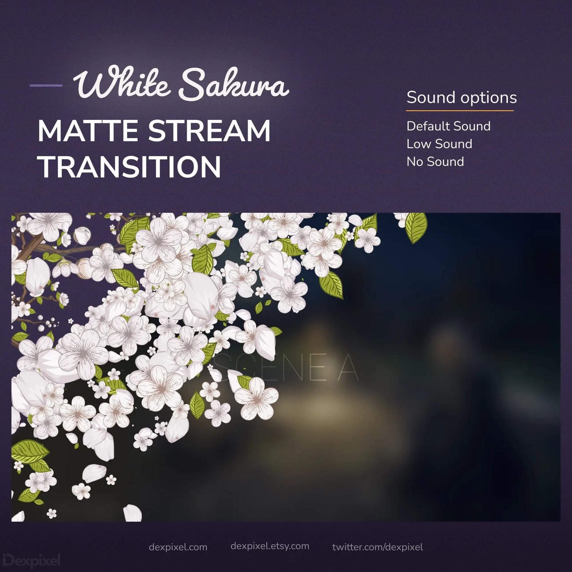 White sakura stream transition.