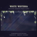 white wisteria magical stream alert full screen
