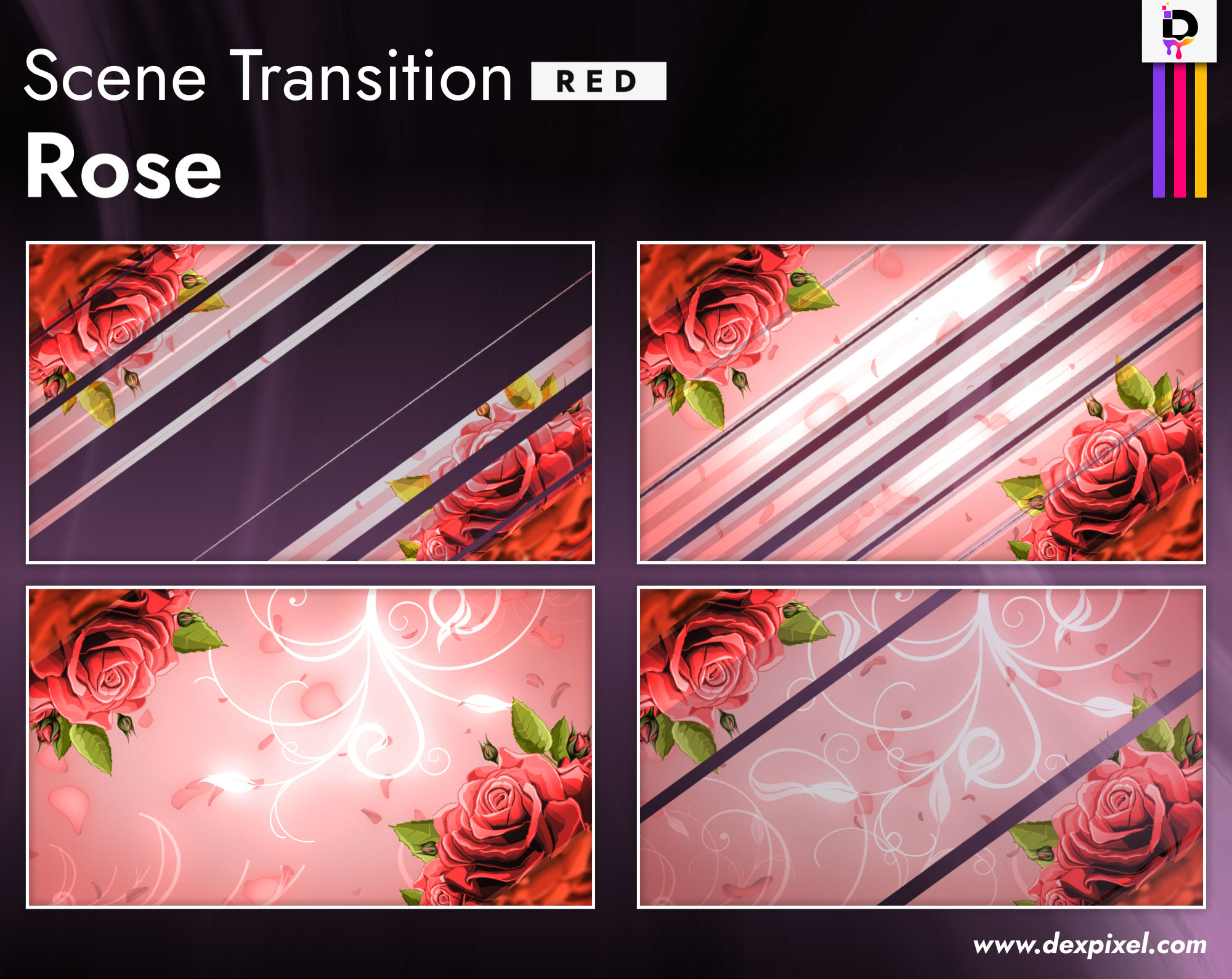 Rose Stream Transition | Girly Rose Stream Transition | Beautiful Roses Stream Stinger | Twitch Scenes Transition | Twitch Roses Obs Transition