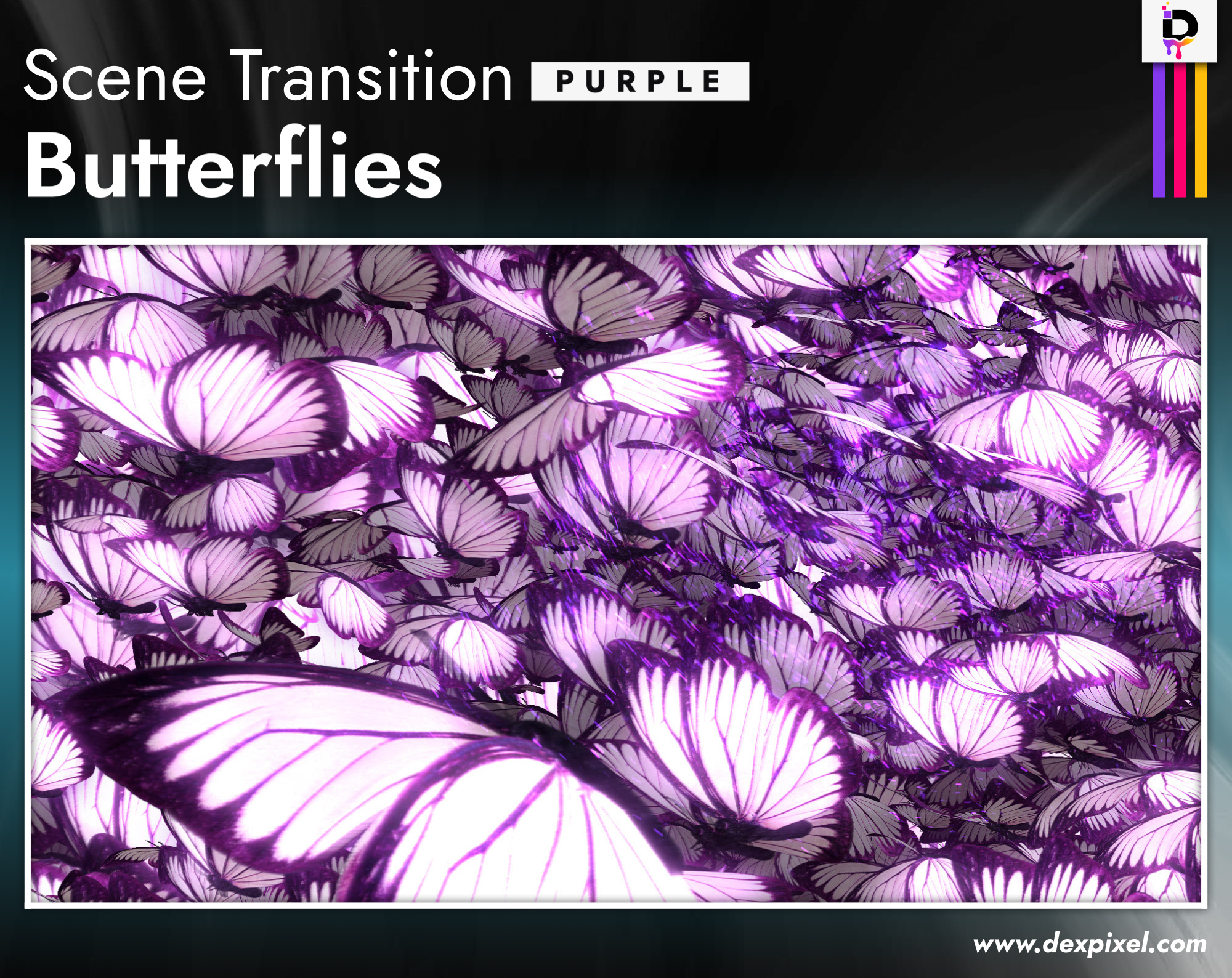 Scene Transition Dexpixel Butterflies Purple